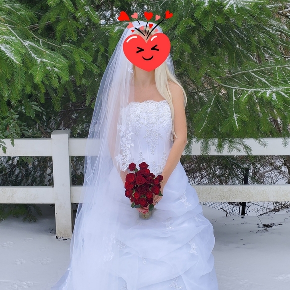 David's Bridal corset wedding dress - Picture 5 of 6